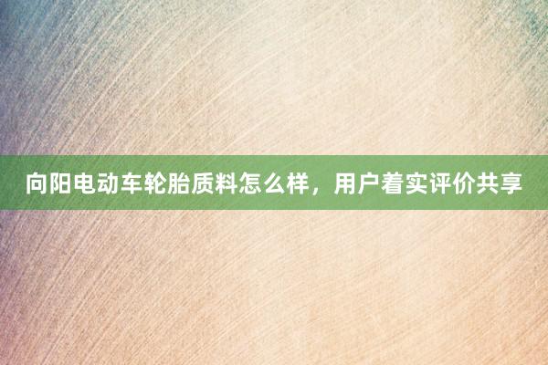 向阳电动车轮胎质料怎么样，用户着实评价共享